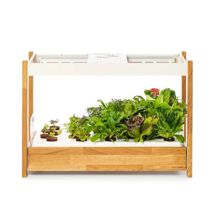 Click & Grow Click & Grow 25