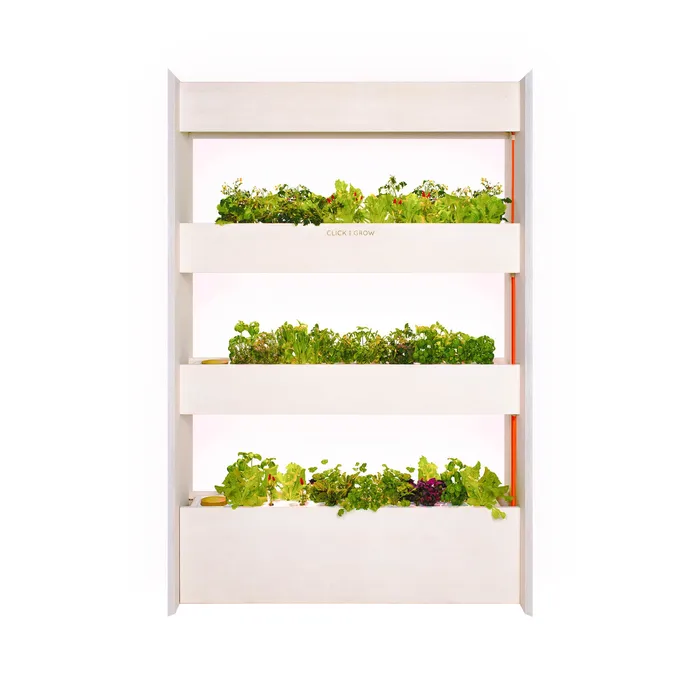 Click & Grow Wall Farm